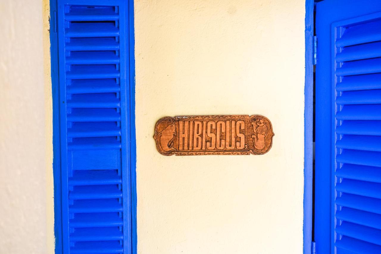 Hibiscus Beach House Pangani Exterior foto